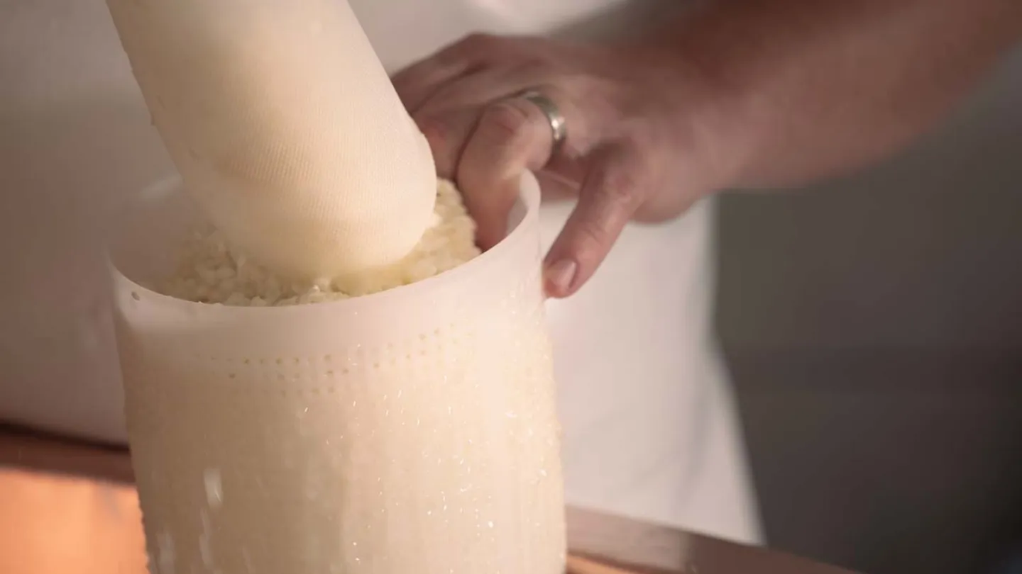 Découverte de la fabrication du fromage